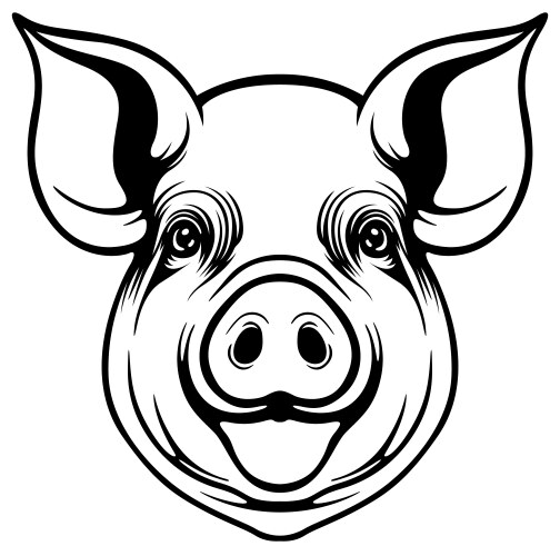 Black drawing of piggy head vector image