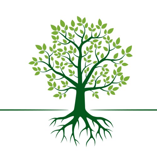 Green tree and roots vector image