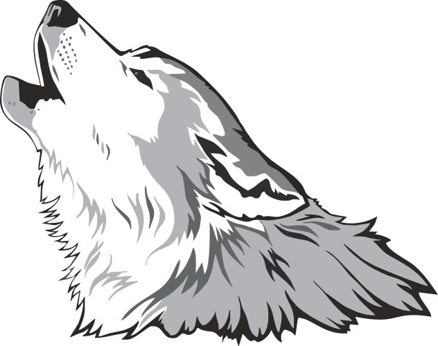 Wolf head vector image