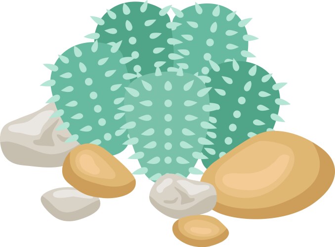 cacti and rocks composition vector image