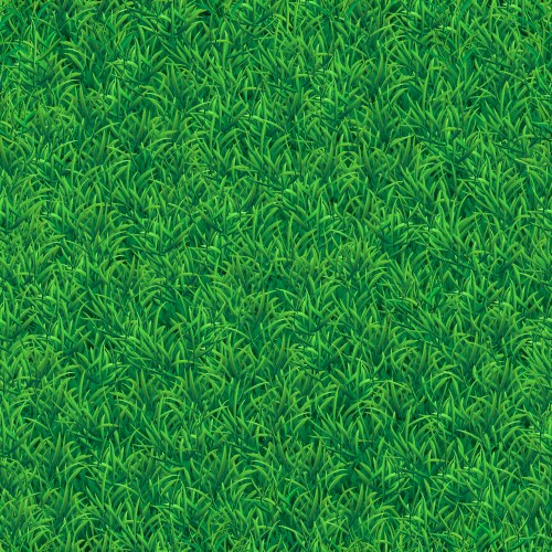 grass field seamless texture vector image