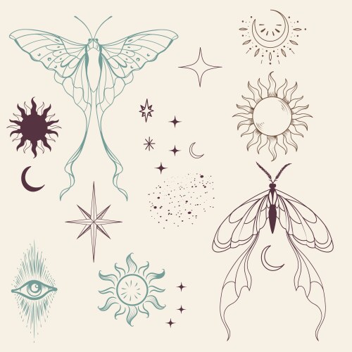 Collection of boho butterflies elegant mystic vector image