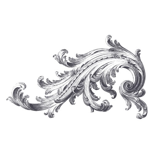 Acanthus scroll vector image