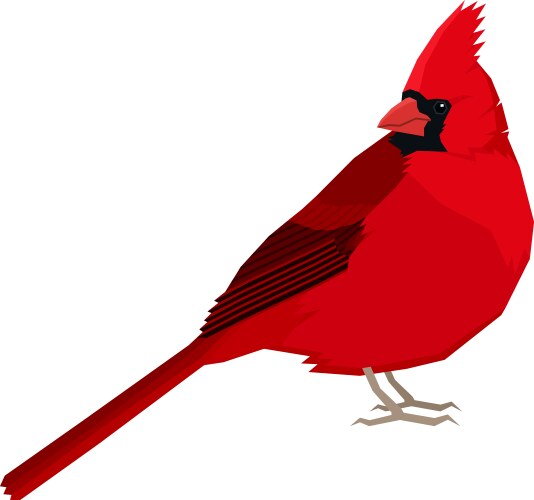 Cardinal bird isolated object vector image