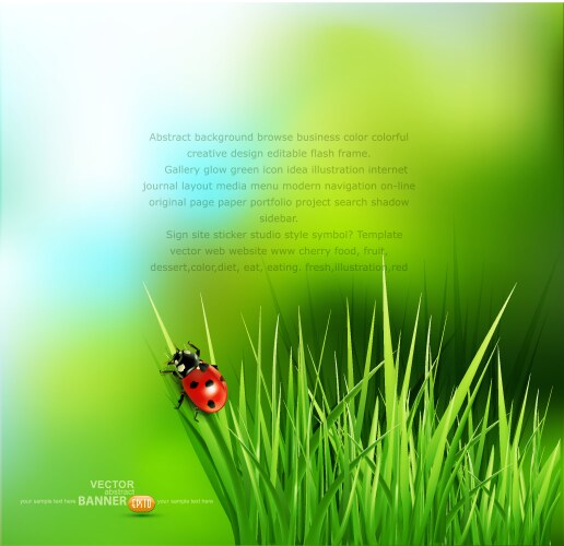 Green grass and ladybug vector image