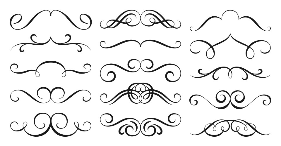 divider border black line victorian flourish swirl vector image