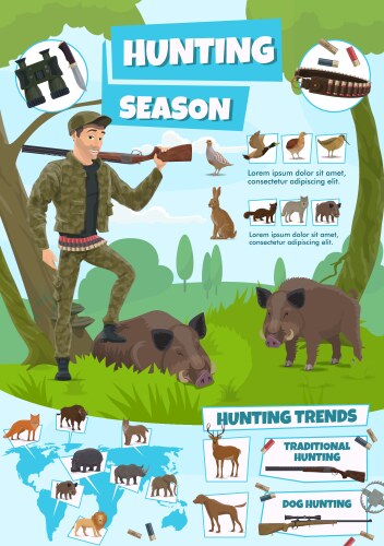 hunting sport ammunition animals or birds vector image