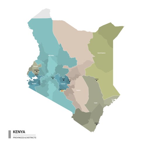 Kenya higt detailed map with subdivisions vector image