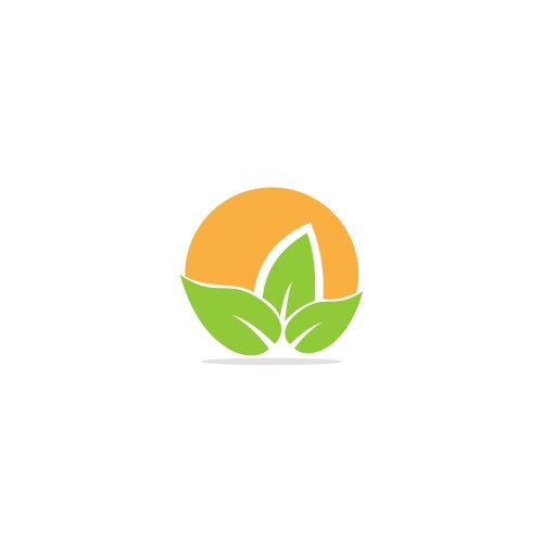 Green leaf organic logo vector image