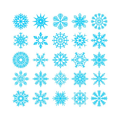 Set of christmas and new year snowflakes vector image