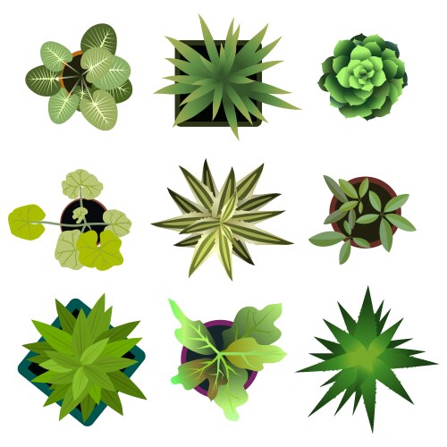 Top view plants easy copy paste in your landscape vector image