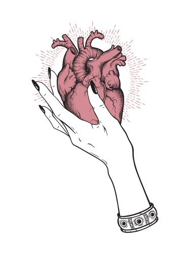 Human heart in graceful female hand isolated vector image