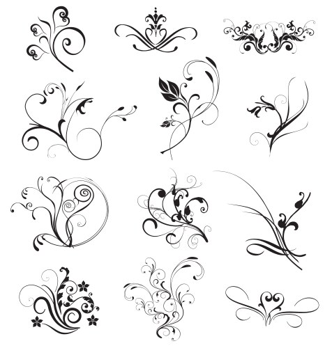 Floral elements vector image