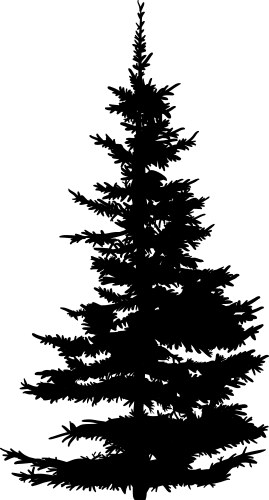 Fir tree silhouette vector image