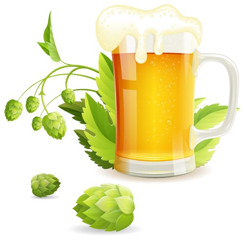 glass of beer vector image