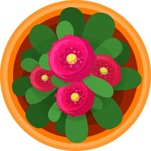 Top view of vibrant home plant with pink flower vector image