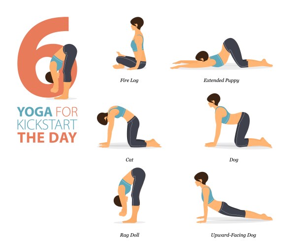 6 yoga pose for workout in start the day concept vector image