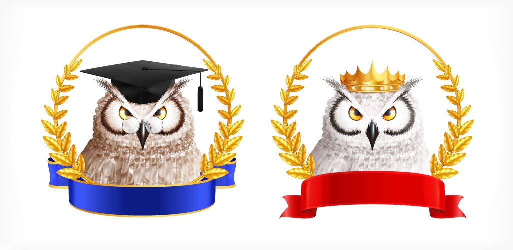 Owl badge emblems set vector image