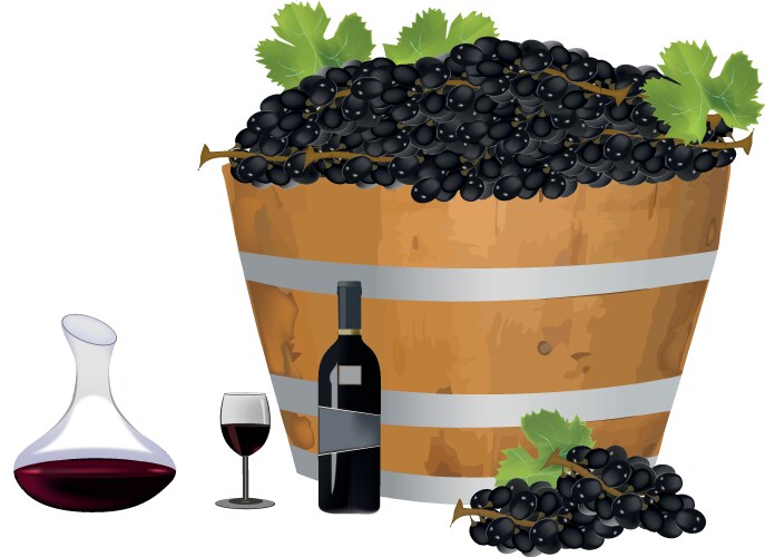 Winemaking concept featuring wooden barrel full vector image