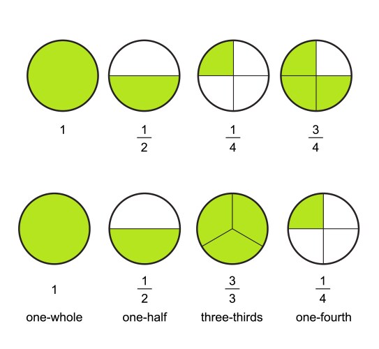 Fraction pie divided into slices fractions vector image