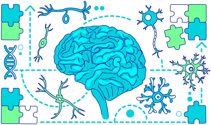 Neurology neuroscience thin line concept vector image