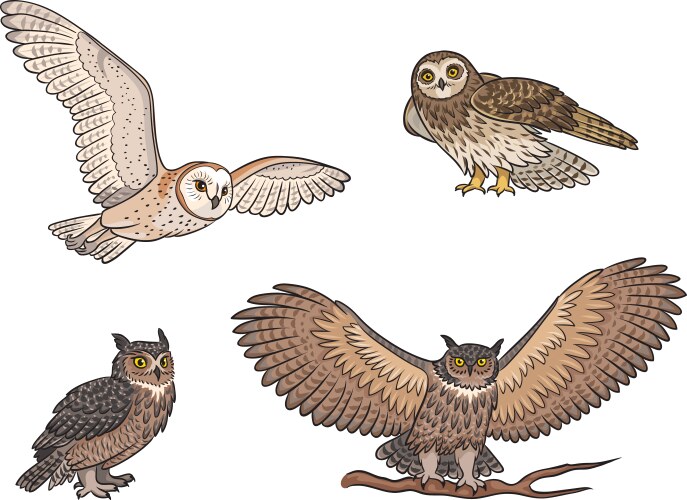 Set different owls vector image