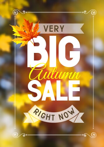 Autumn sale vector image