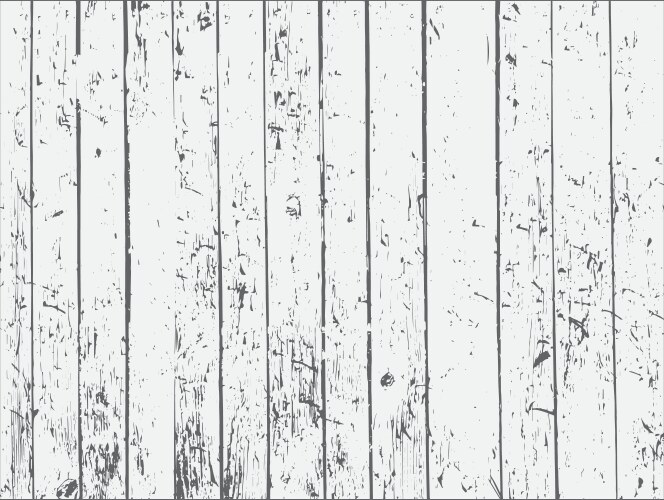 Black and white old wooden texture vector image