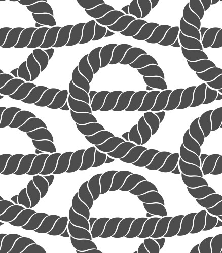 Ropes seamless pattern vector image