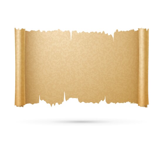 Old ancient papyrus parchment scroll vector image