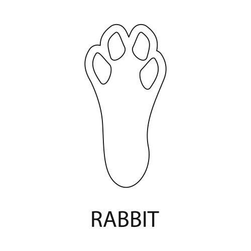 Isolated object paw and rabbit logo set vector image