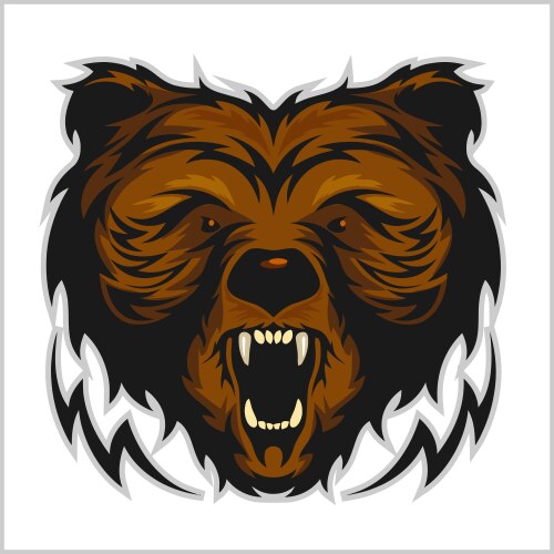 Angry bear head - isolated on white vector image