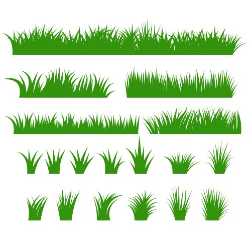 Grass borders set green tufts vector image