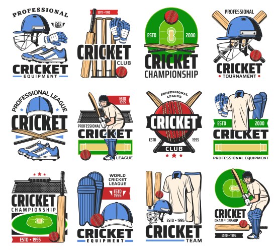 cricket sport ball bat player and stadium icons vector image