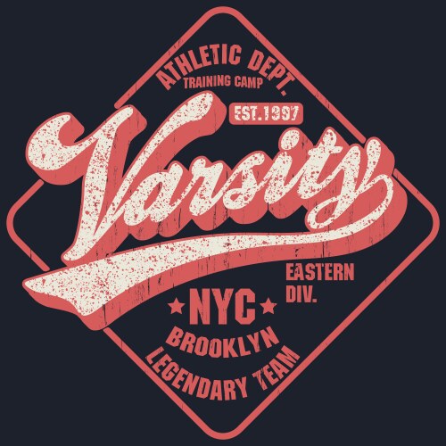 new york varsity sport wear typography emblem t vector image