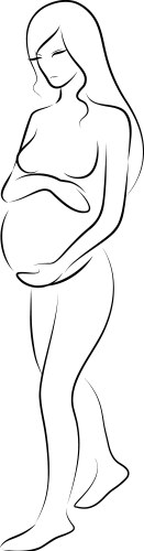 pregnant woman vector image