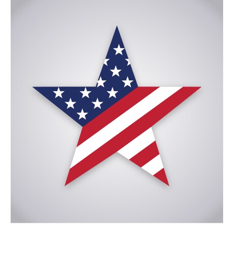 Usa american flag star shape vector image