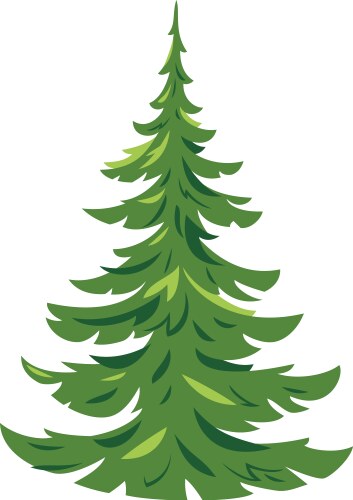 one spruce tree isolated vector image