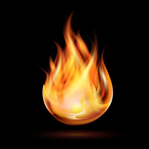 Symbol of fire vector image