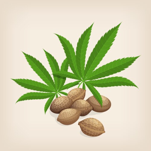 Heap of hemp seeds with leaves vector image