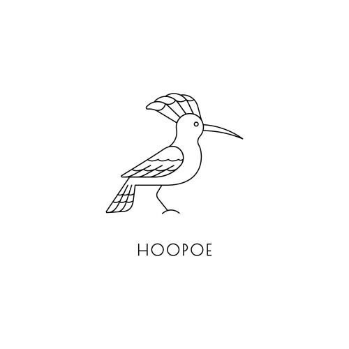 Hoopoe outline icon vector image