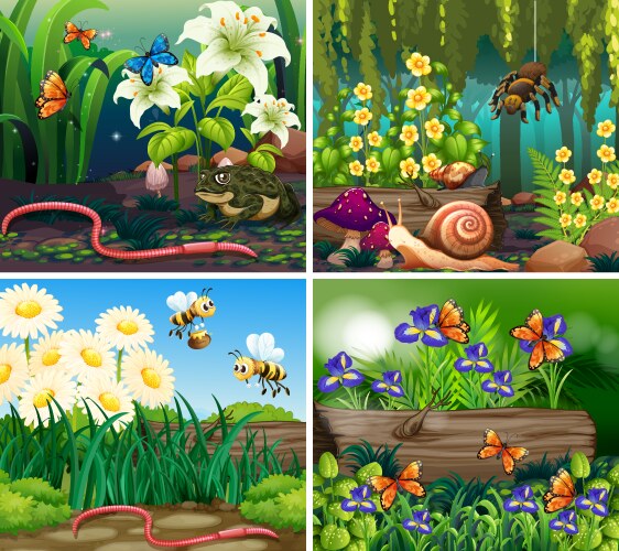 set background scene with flowers and insects vector image