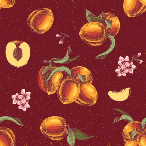 Seamless pattern with hand drawn peach branches vector image