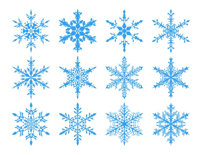 Set of snowflakes vector image