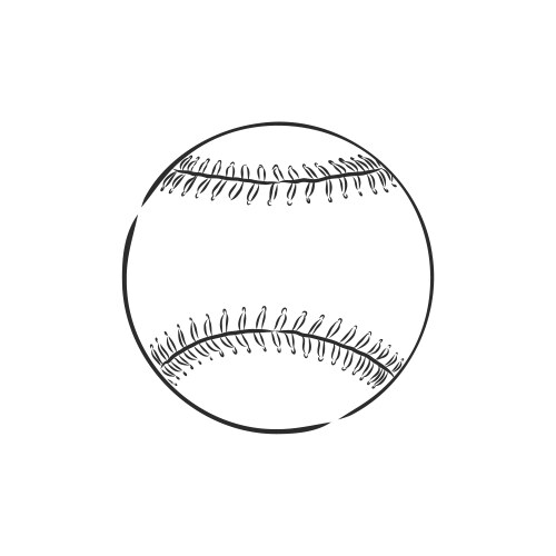 image a baseball isolated in white background vector image