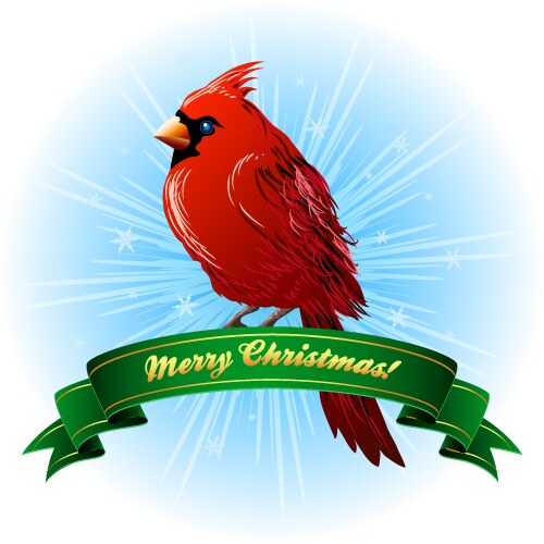 Christmas frame with northern cardinal vector image