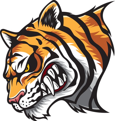 Angry tiger head vector image