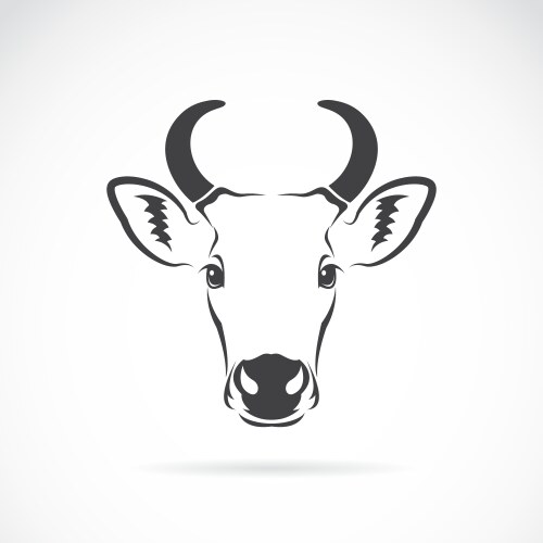 Image of an cow head vector image