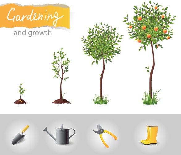 Gardening and growth vector image