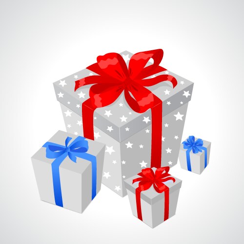 Gift vector image